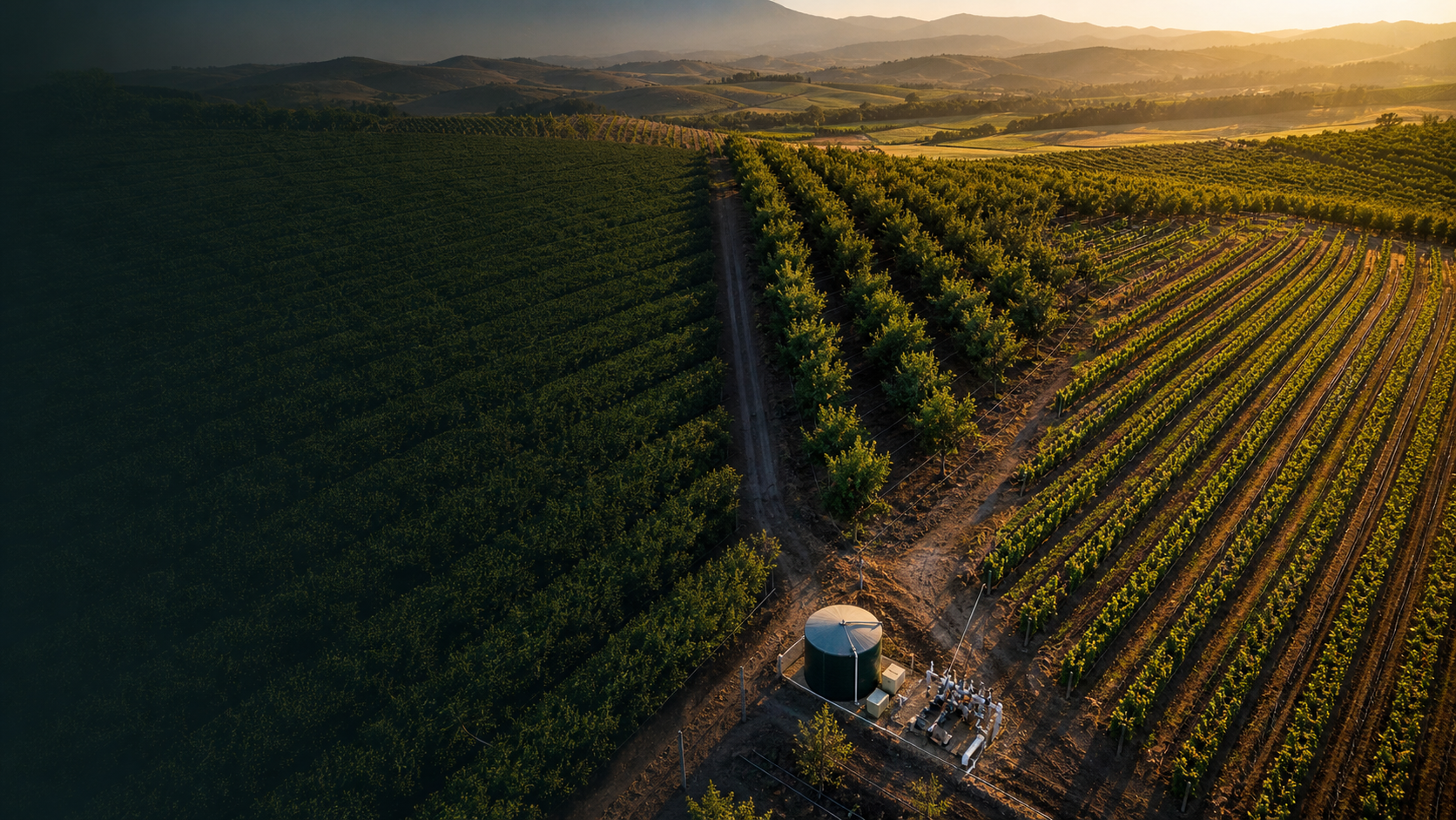 Agritech / Smart Agriculture